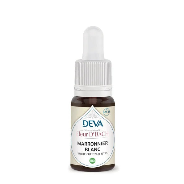 DEVA -- Marronnier blanc