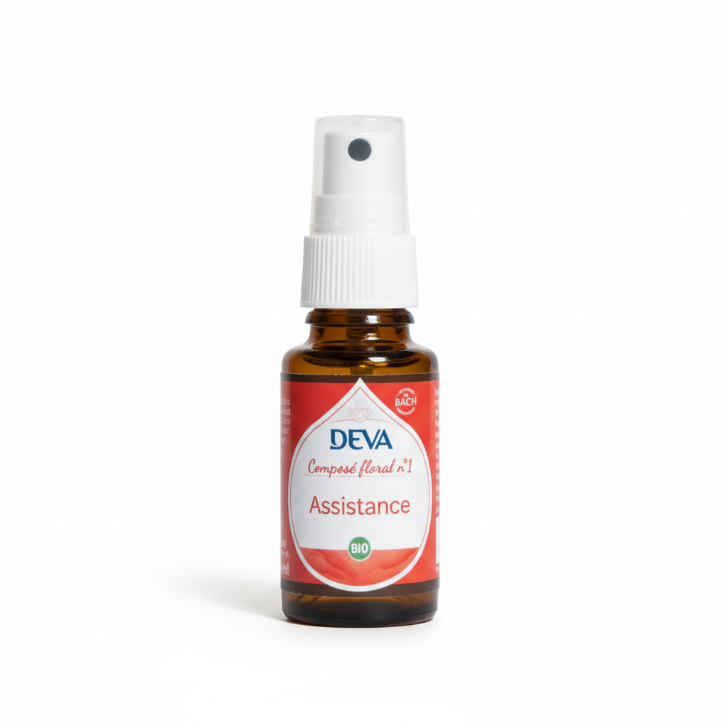 DEVA -- 01-assistance