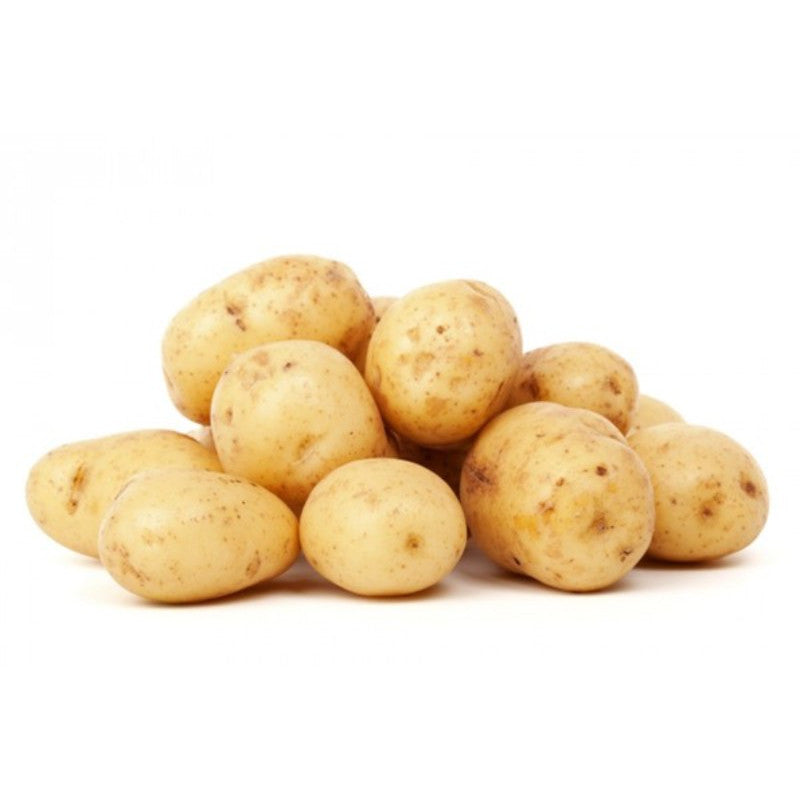 Pomme de terre de consommation