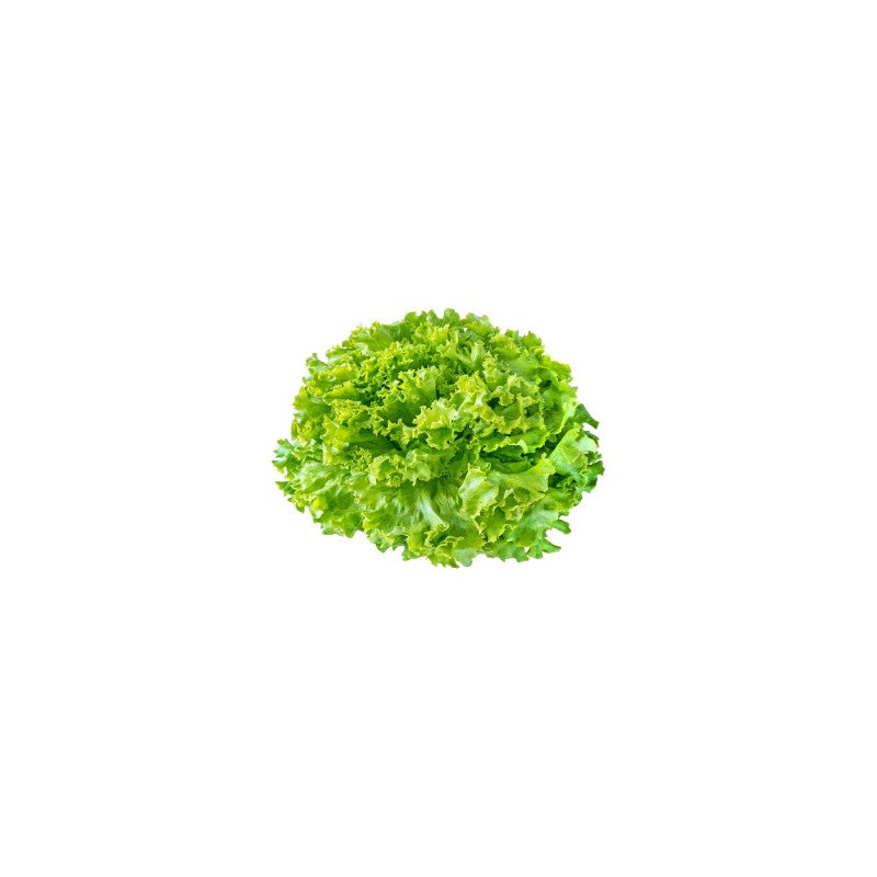 Salade mâche